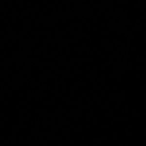 Meet your Posher, Dante